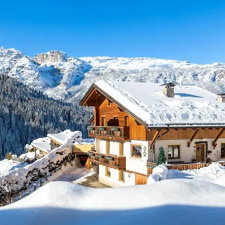 Ciasa Odlana Apartment San Cassiano  Exterior photo